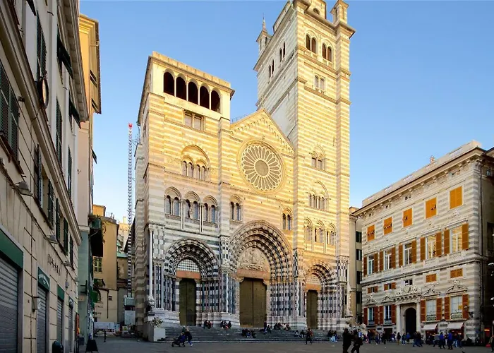 La Casa Dei Gatti Matti