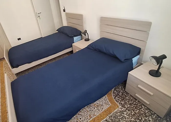 La Casa Dei Gatti Matti